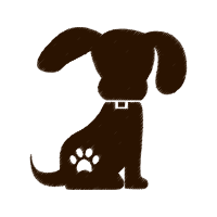 Golden Retriever Animals Golden Retriever Animals