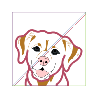 Golden Retriever Animals Golden Retriever Animals