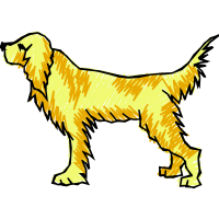 Golden Retriever Animals Golden Retriever Animals