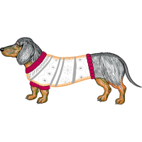 Grand Basset Griffon Vend En Animals Grand Basset Griffon Vend En Animals