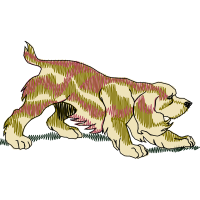 Grand Basset Griffon Vend En Animals