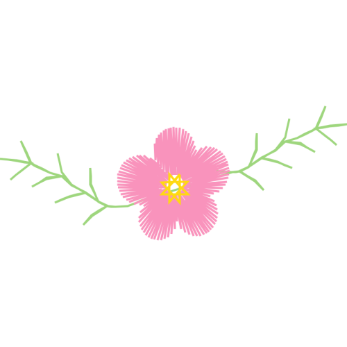 Graphic Animals Graphic Animals