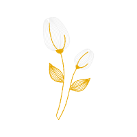 Graphic Animals Graphic Animals