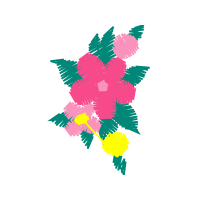 Graphic Animals Graphic Animals