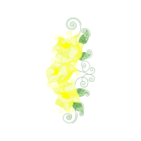 Graphic Animals Graphic Animals