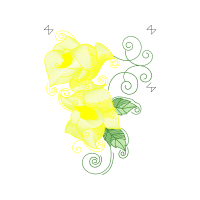 Graphic Animals Graphic Animals