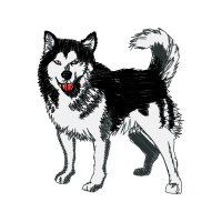 Greenland Dog Animals