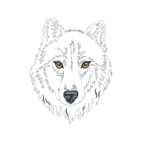 Greenland Dog Animals