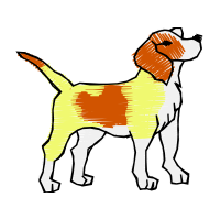 Harrier Animals Harrier Animals