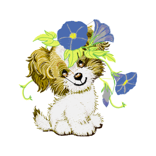 Havanese Animals Havanese Animals