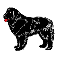 Himalayan Sheepdog Animals