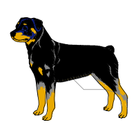 Himalayan Sheepdog Animals Himalayan Sheepdog Animals