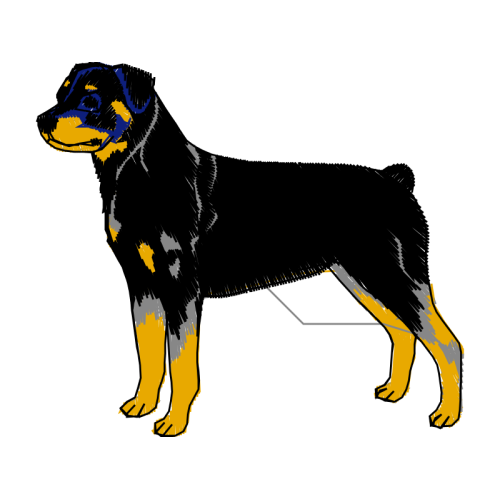 Himalayan Sheepdog Animals Himalayan Sheepdog Animals