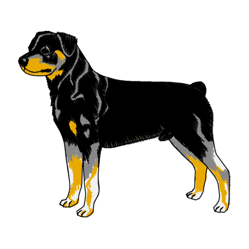 Himalayan Sheepdog Animals Himalayan Sheepdog Animals