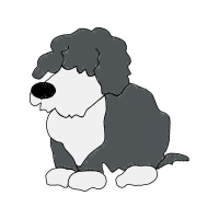 Illustration Animals