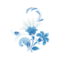 Illustration Animals