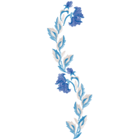 Illustration Animals Illustration Animals