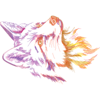 Illustration Animals