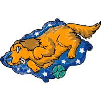 Illustration Animals