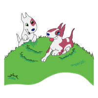 Illustration Animals