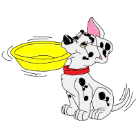 Illustration Animals