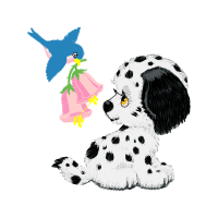 Illustration Animals