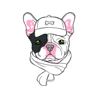 Illustration Animals