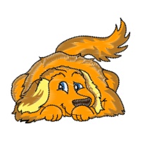 Illustration Animals