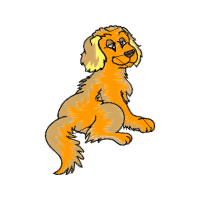 Illustration Animals