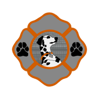 Illustration Animals Illustration Animals