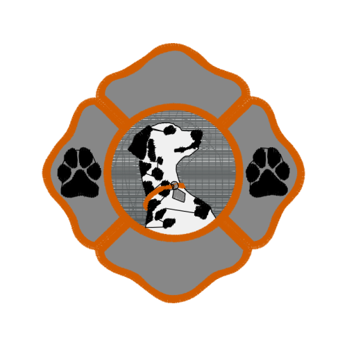 Illustration Animals Illustration Animals