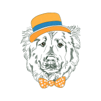 Illustration Animals