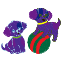 Illustration Animals