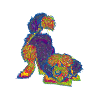 Illustration Animals