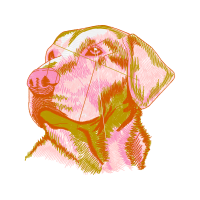 Illustration Animals