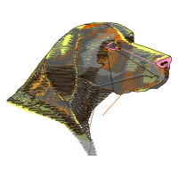 Illustration Animals