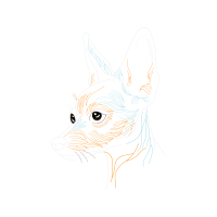 Illustration Animals