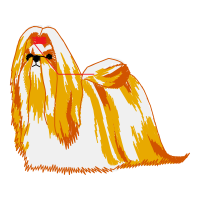 Illustration Animals