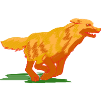 Illustration Animals