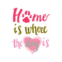 Illustration Animals