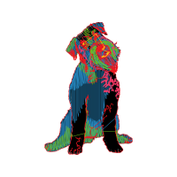 Illustration Animals Illustration Animals