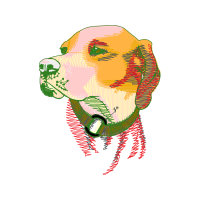 Illustration Animals