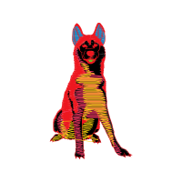 Illustration Animals Illustration Animals