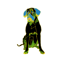 Illustration Animals Illustration Animals