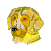 Illustration Animals