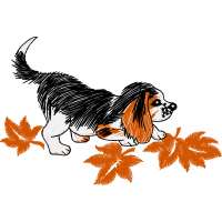 Illustration Animals