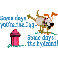 Illustration Animals