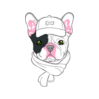 Illustration Animals Illustration Animals