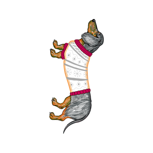 Illustration Animals Illustration Animals