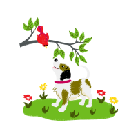 Illustration Animals Illustration Animals